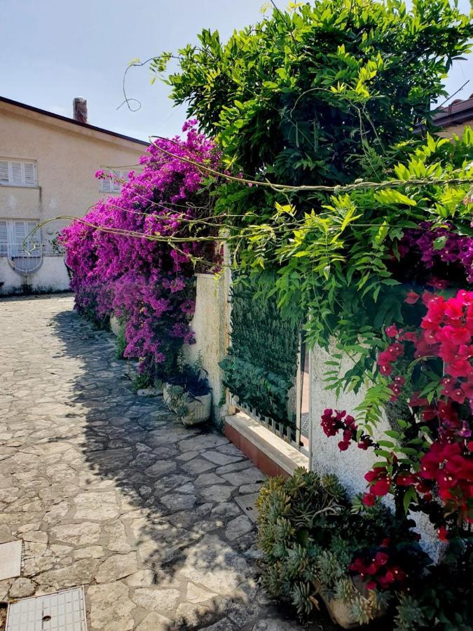 Casa Susy Bouganville 400 Mt Dal Mare Sperlonga Luaran gambar